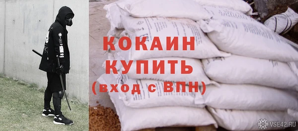 стафф Ельня