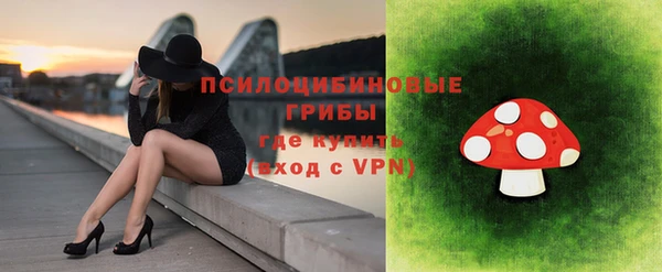 метамфетамин Елизово