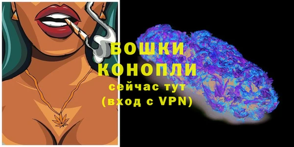 стафф Ельня