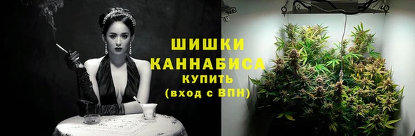 стафф Ельня