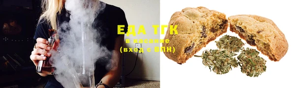 стафф Ельня