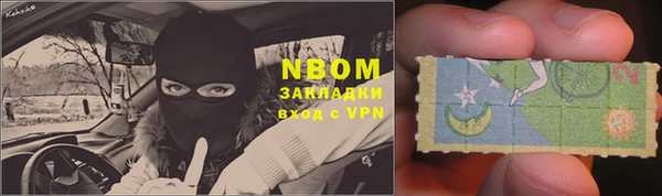 стафф Ельня