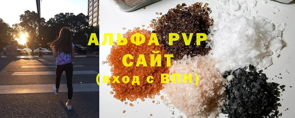 стафф Ельня
