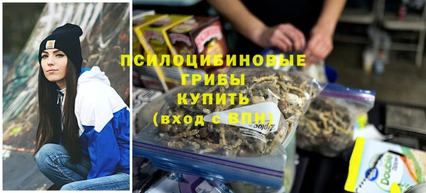 метамфетамин Елизово