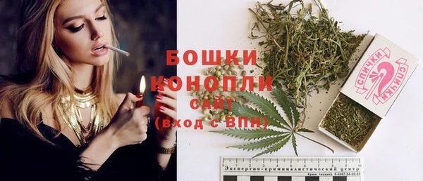 стафф Ельня