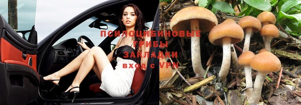 метамфетамин Елизово