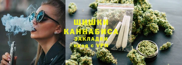 стафф Ельня