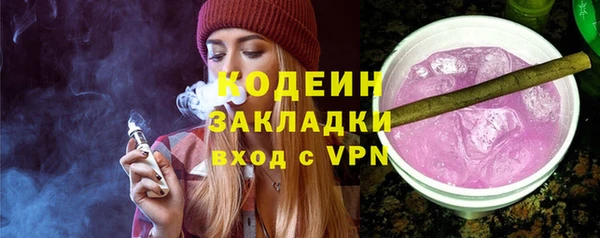 стафф Ельня