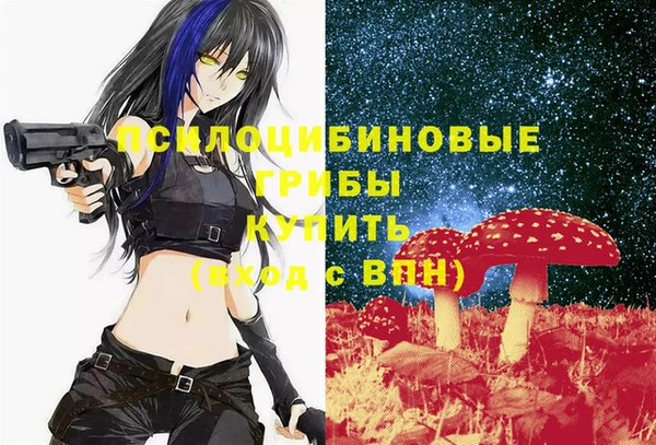a pvp Елабуга